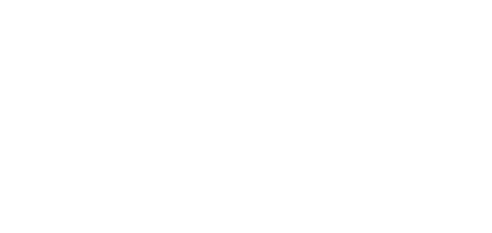 DAMA